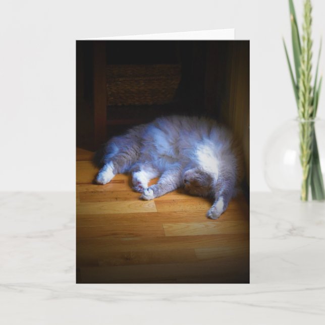 Slow Days, card (Front)