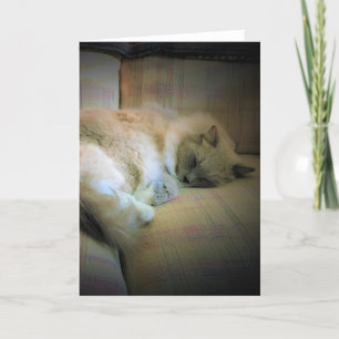 Slow Days, card