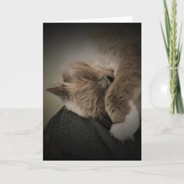 Slow Days, card (Front)