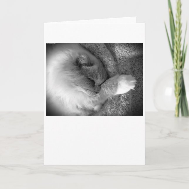 Slow Days, card (Front)