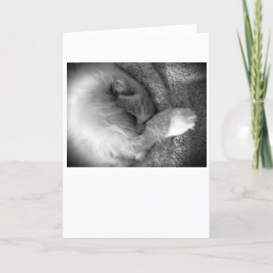 Slow Days, card