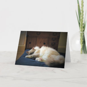 Slow Days, card