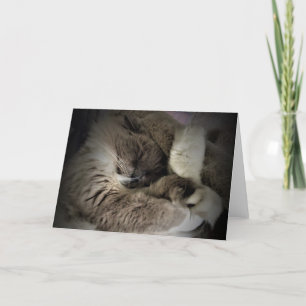 Slow Days, card