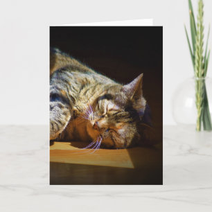 Slow Days, card