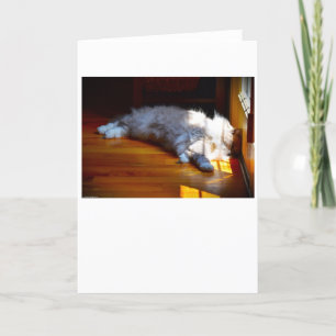 Slow Days, card