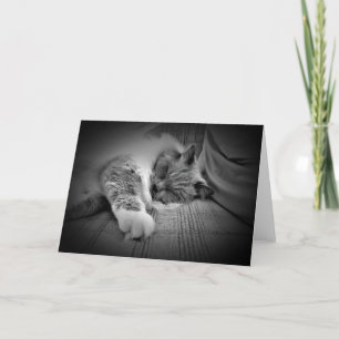 Slow Days, card