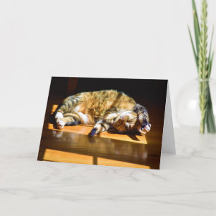 Slow Days, card