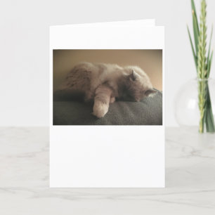 Slow Days, card