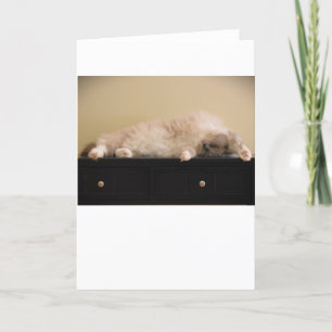 Slow Days, card