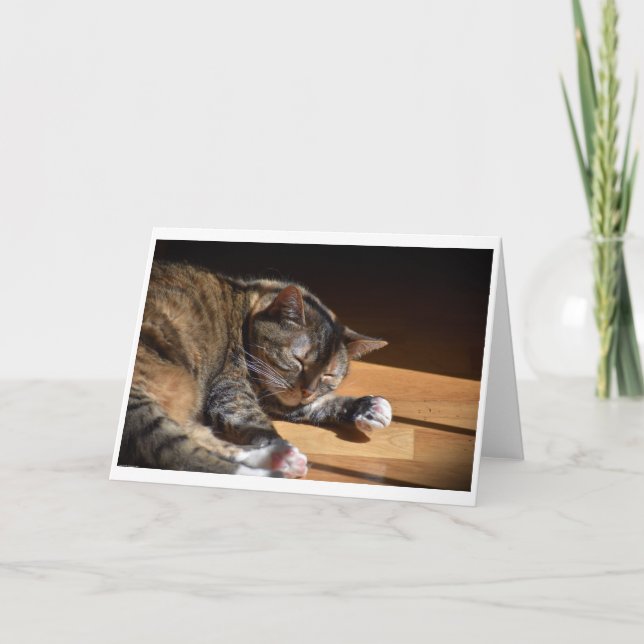 Slow Days, card (Front)