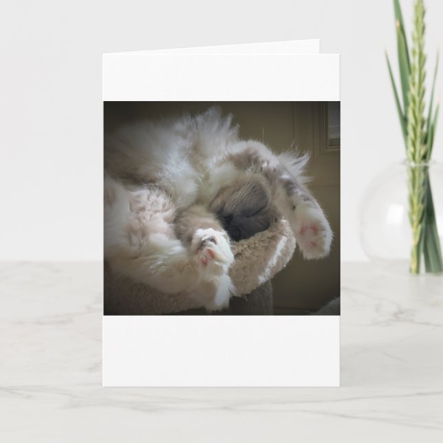 Slow Days, card (Front)