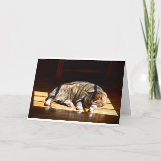 Slow Days, card