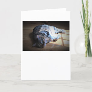Slow Days, card