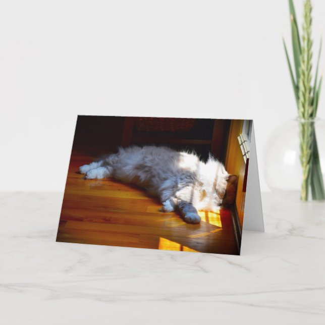 Slow Days, card (Front)