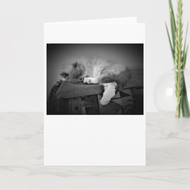 Slow Days, card (Front)