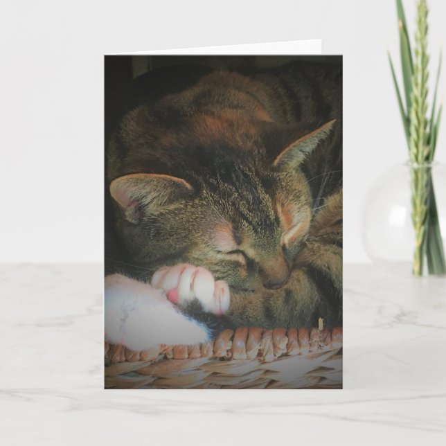 Slow Days, card (Front)