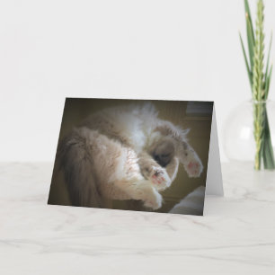 Slow Days, card