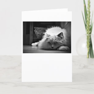 Slow Days, card