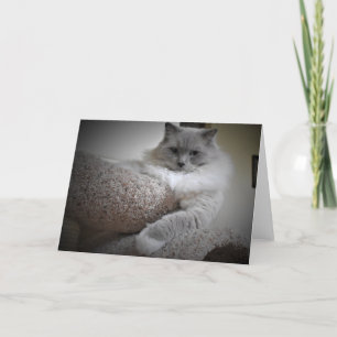 Slow Days, card