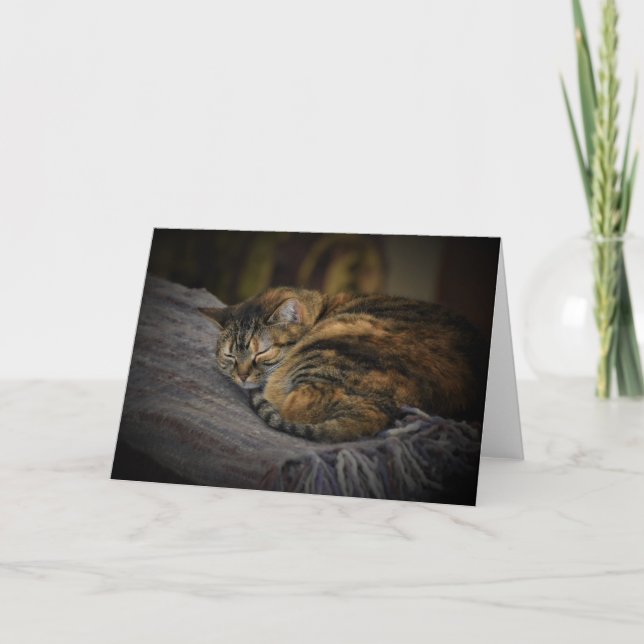 Slow Days, card (Front)