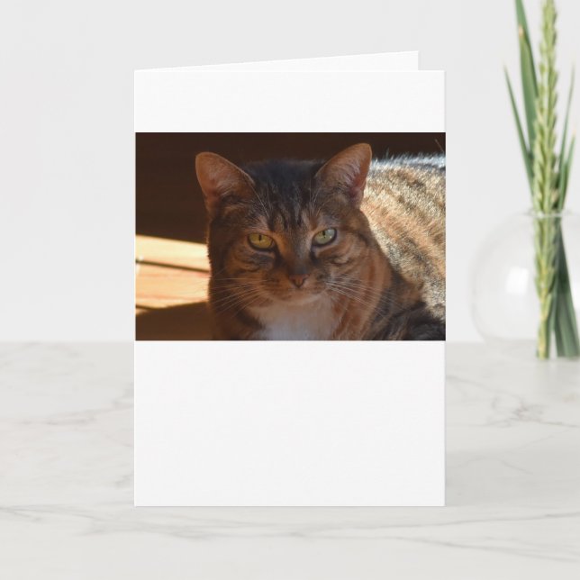 Slow Days, card (Front)