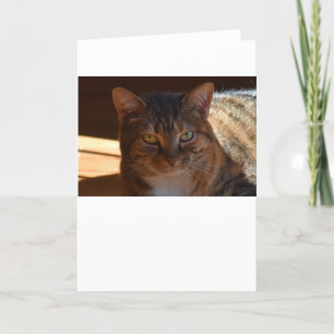 Slow Days, card