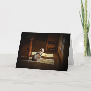 Slow Days, card