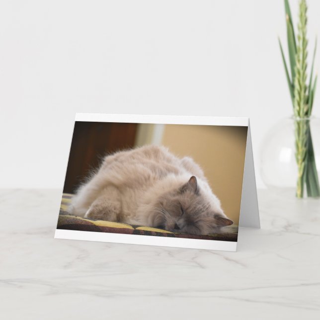 Slow Days, card (Front)