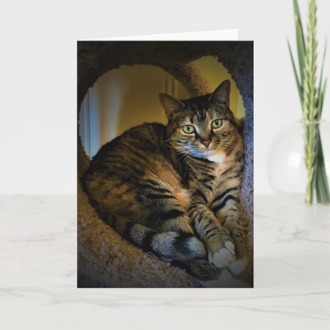 Slow Days, card (Front)