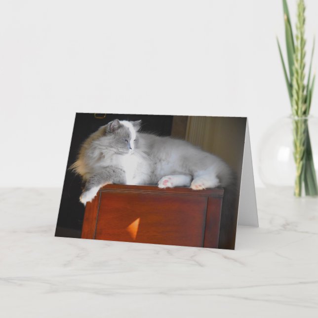 Slow Days, card (Front)