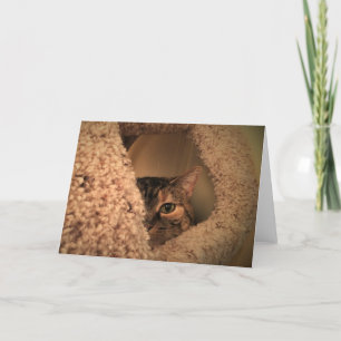 Slow Days, card