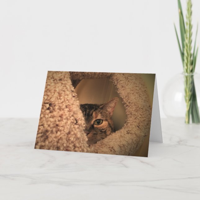 Slow Days, card (Front)