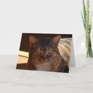 Slow Days, card