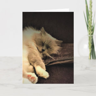 Slow Days, card