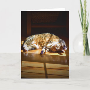 Slow Days, card