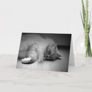 Slow Days, card