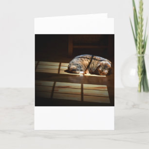 Slow Days, card