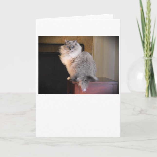 Slow Days, card (Front)