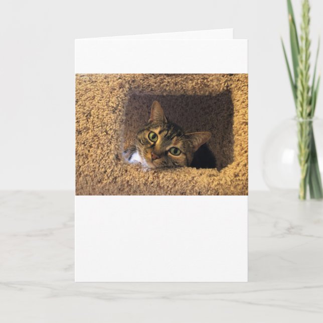 Slow Days, card (Front)