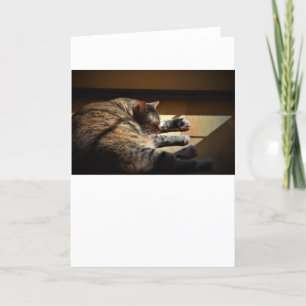 Slow Days, card