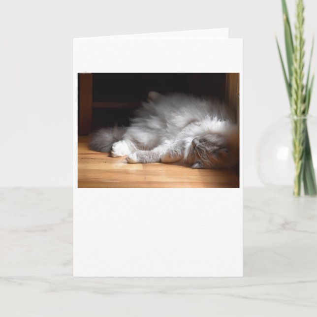 Slow Days, card (Front)