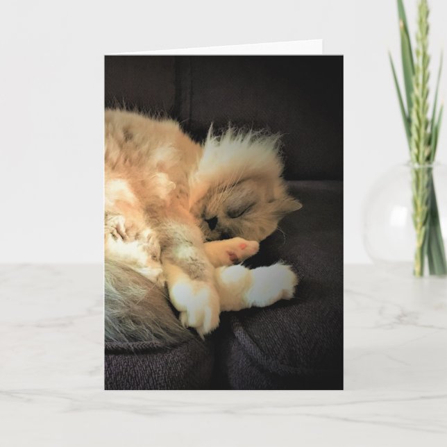 Slow Days, card (Front)
