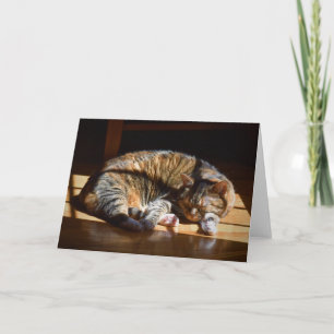 Slow Days, card