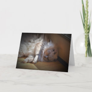 Slow Days, card