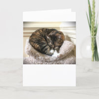 Slow Days, card