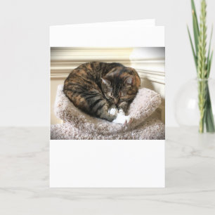 Slow Days, card