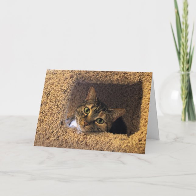 Slow Days, card (Front)