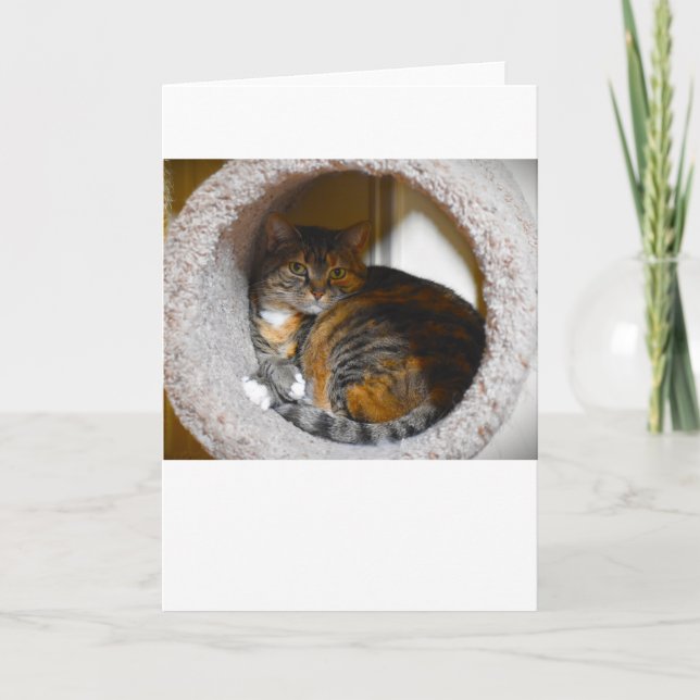 Slow Days, card (Front)