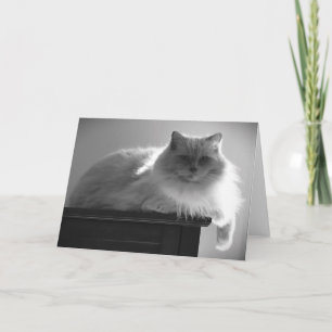 Slow Days, card