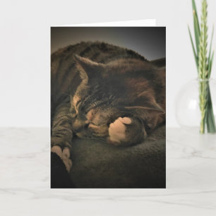 Slow Days, card